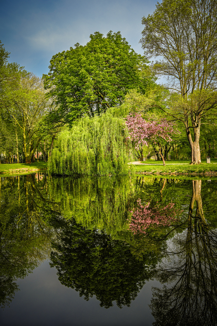 Schlossteich 