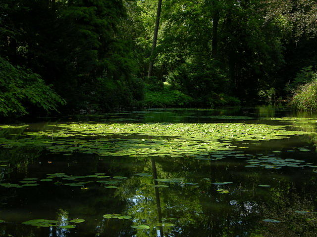 Schlossteich Eller