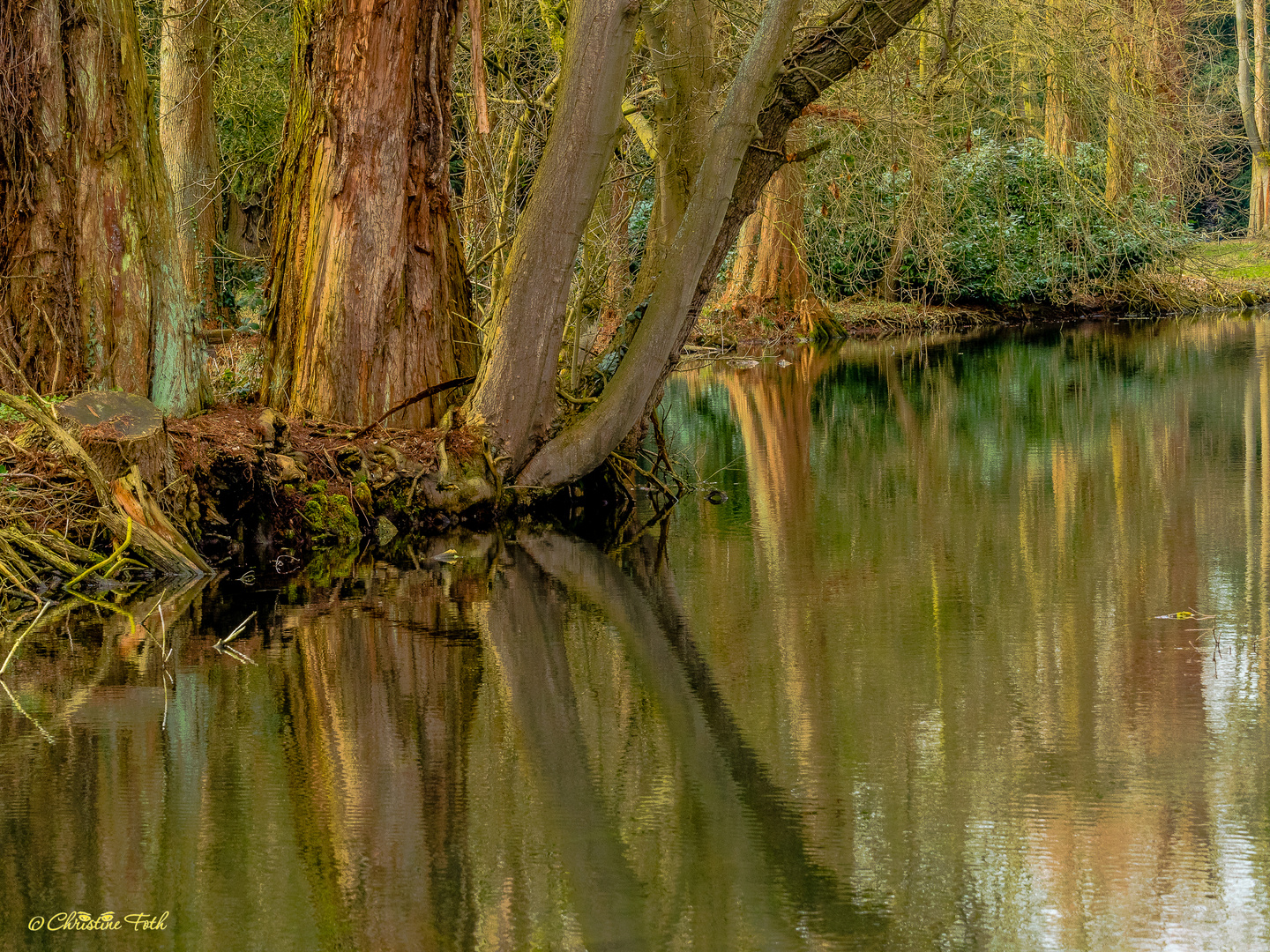 Schlossteich im Park von Schloss Paffendorf