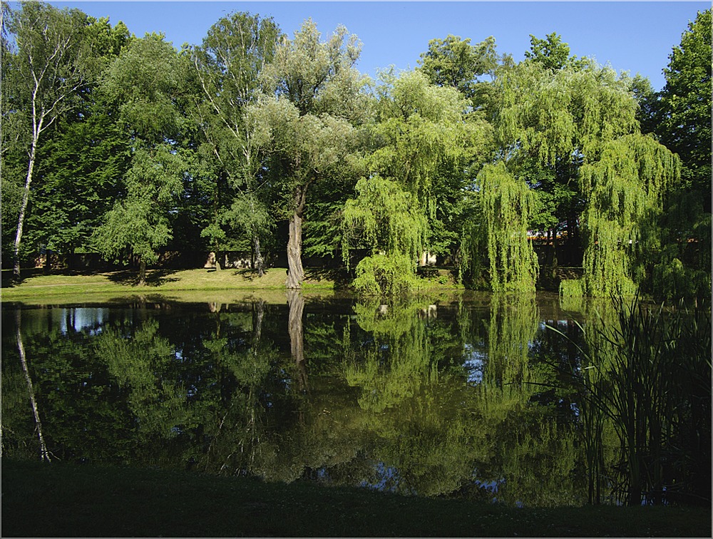 Schloßteich in Dahme/Teltow-Fläming (2)