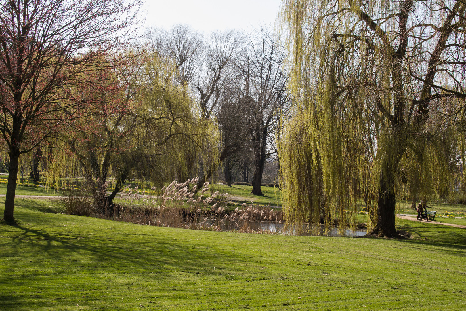 Schlossteich in Seesen