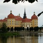 Schlossteich Moritzburg