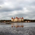 Schlossteich Moritzburg