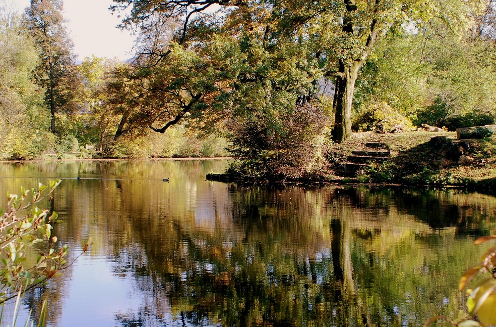 Schlossteich Viktring Kärnten