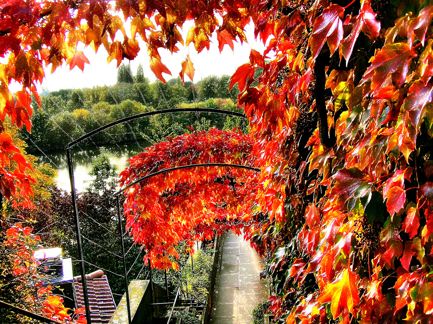 Schlosstreppe Aschaffenburg zum Main mit wildem Herbstwein