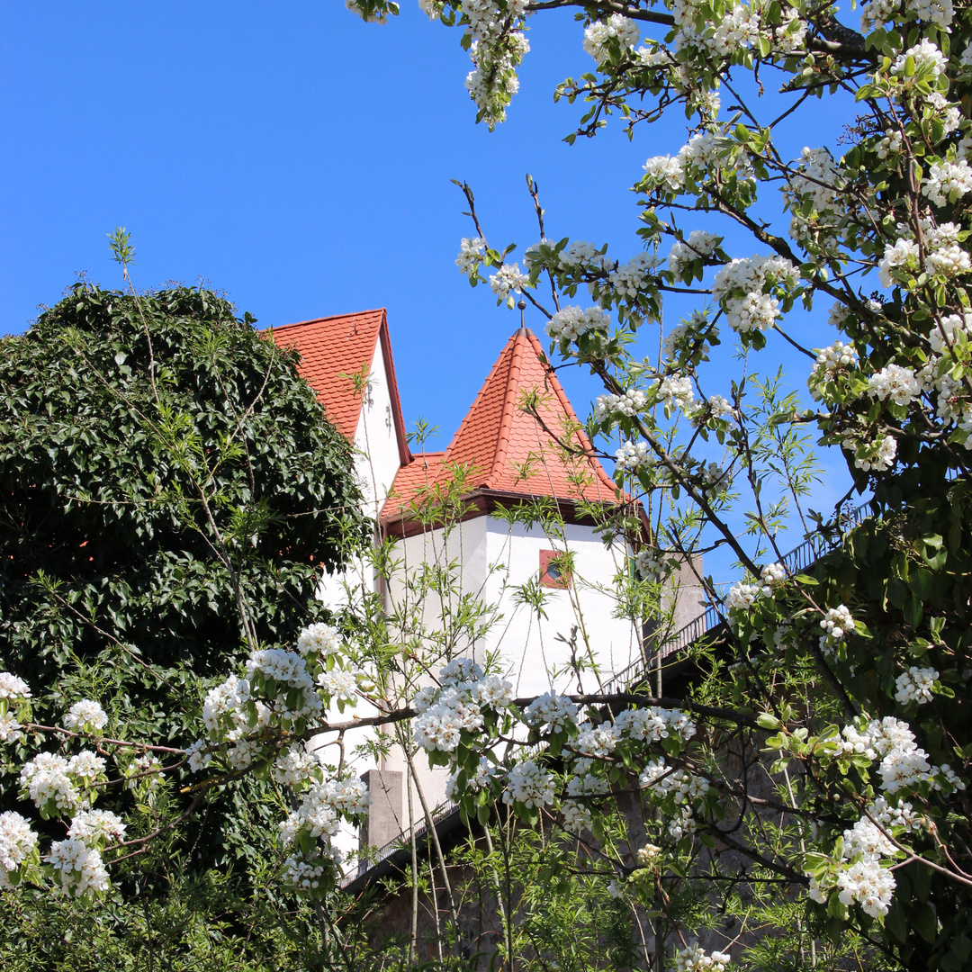 Schlossturm