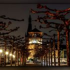 Schloßturm mit Platanenallee