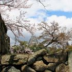 Schlossturm von Himeji
