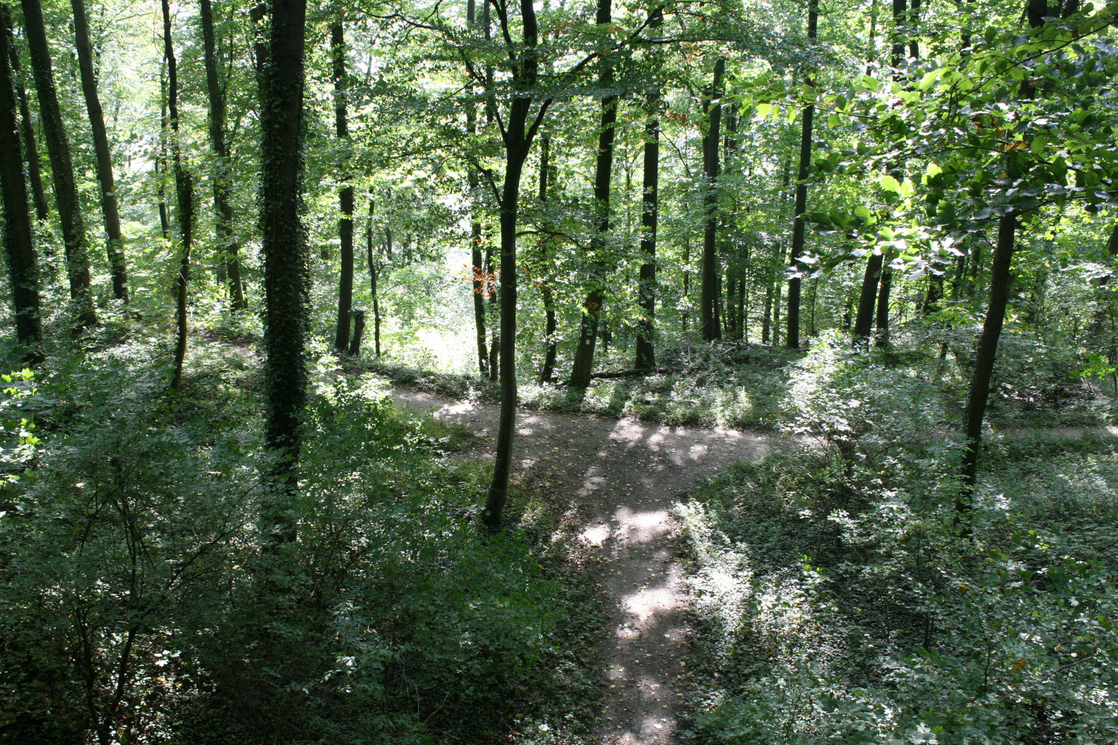 Schloßwald