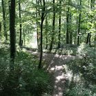 Schloßwald
