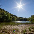 Schloßweiher Hohenburg