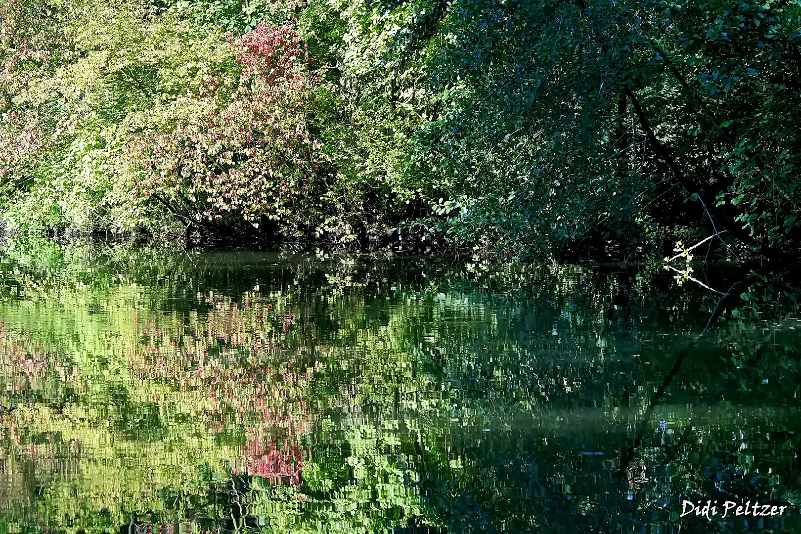 Schlossweiher-Idylle ...