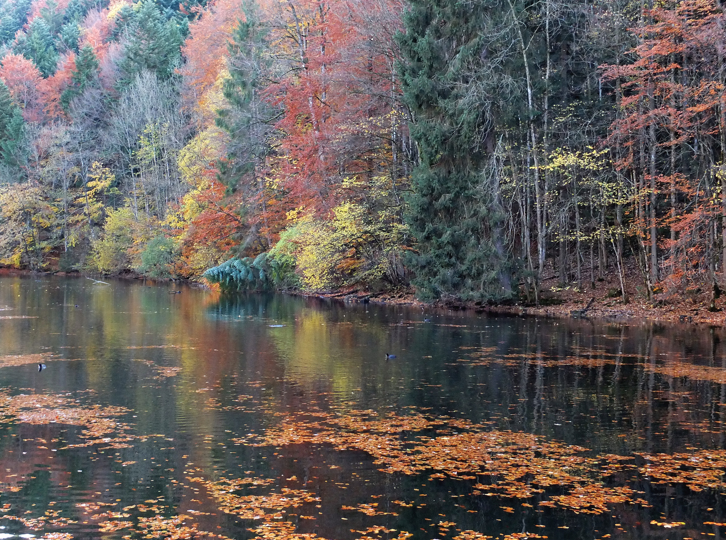 Schlossweiher in Lenggries