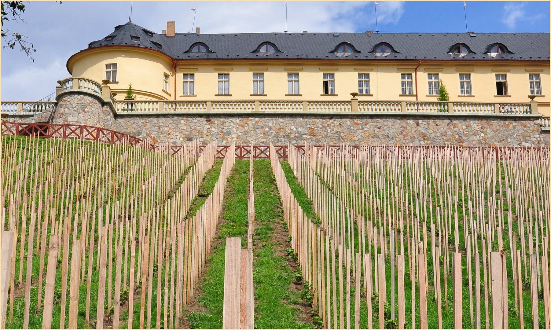 SCHLOSSWEINBERG-TSCHECHEI