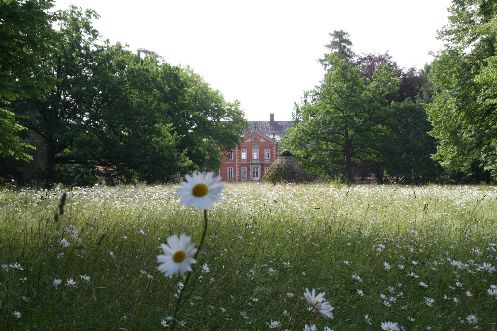 schlosswiese