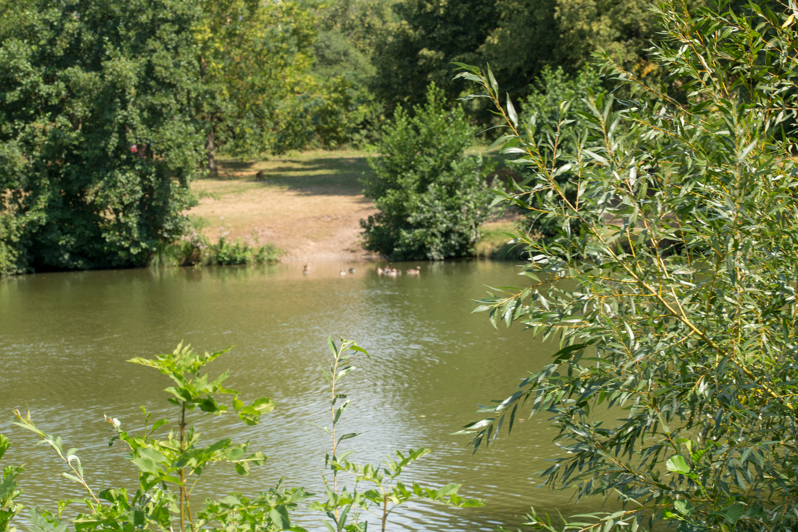 Schlosswiesensee in Kürnbach