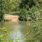 Schlosswiesensee in Kürnbach