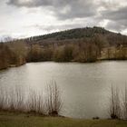 Schlosswiesensee in Kürnbach