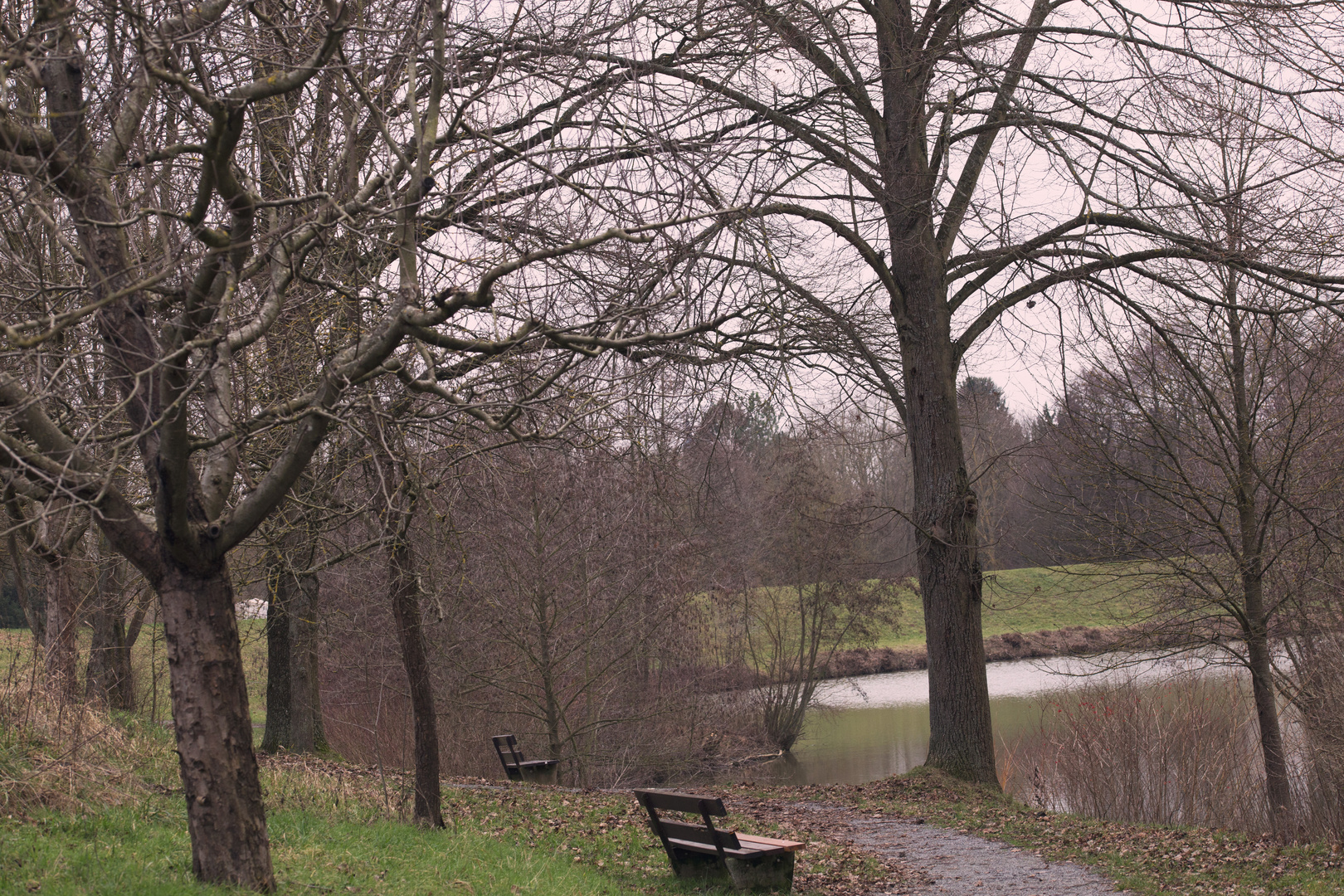 Schlosswiesensee in Kürnbach