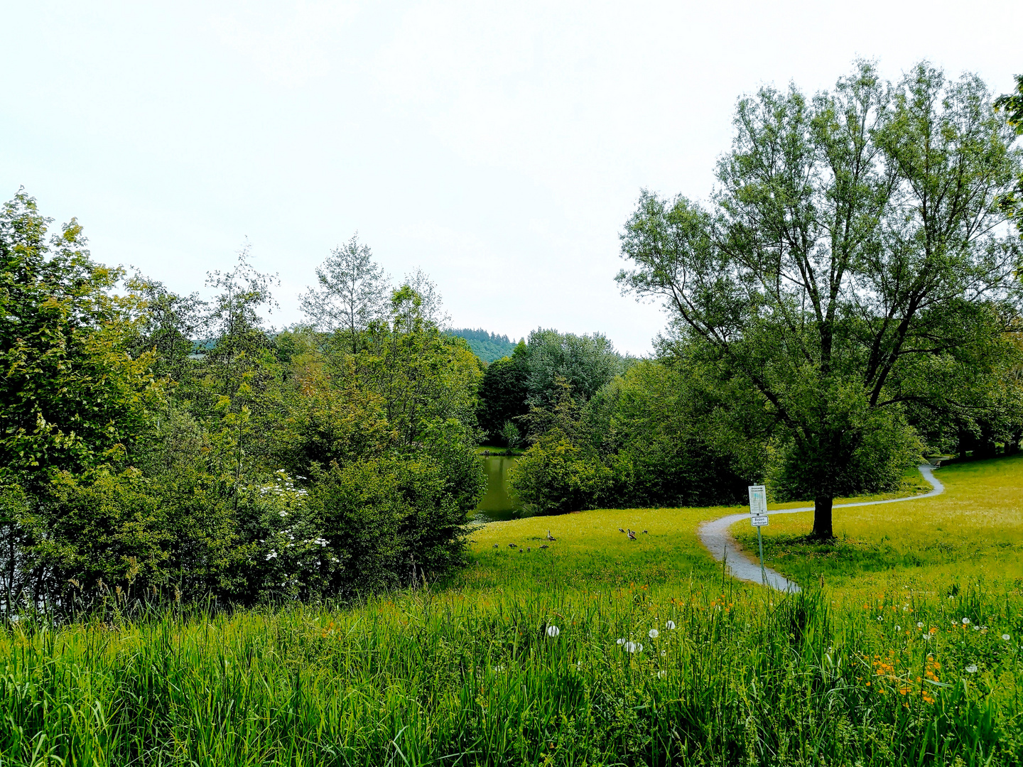 Schlosswiesensee in Kürnbach