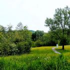 Schlosswiesensee in Kürnbach