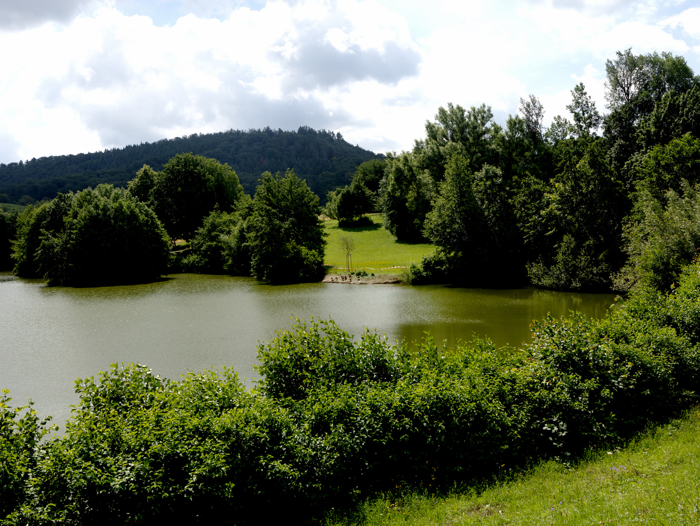 Schlosswiesensee Kürnbach