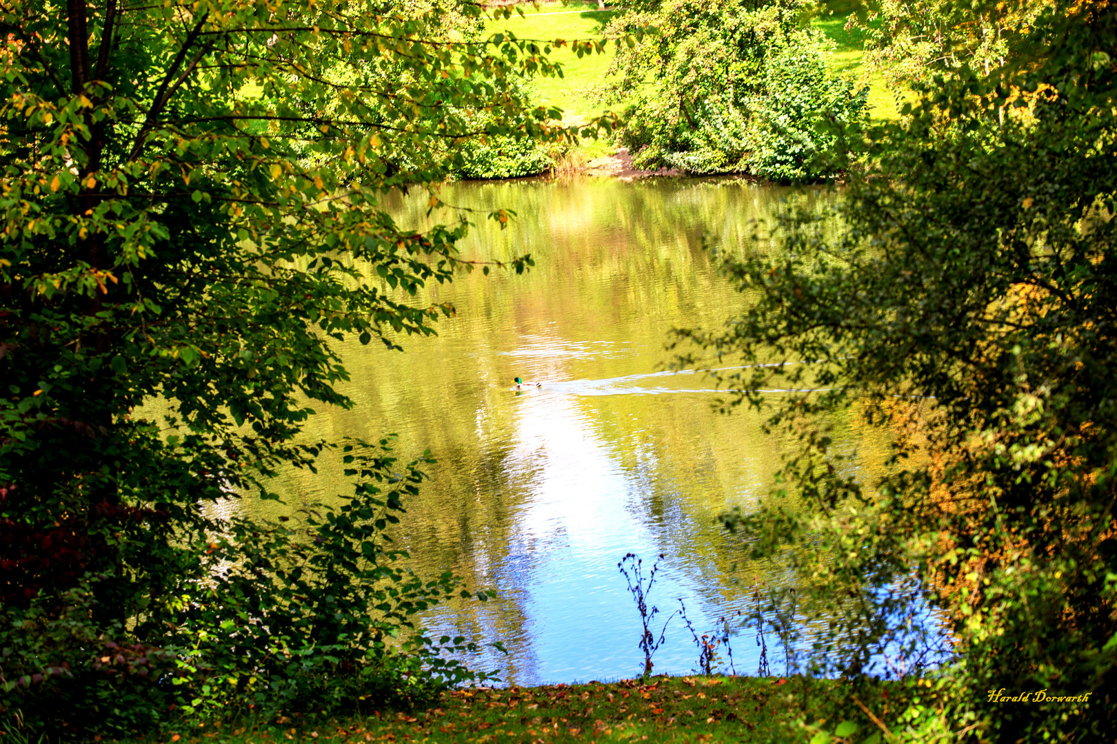 Schlosswiesensee Kürnbach