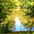 Schlosswiesensee Kürnbach