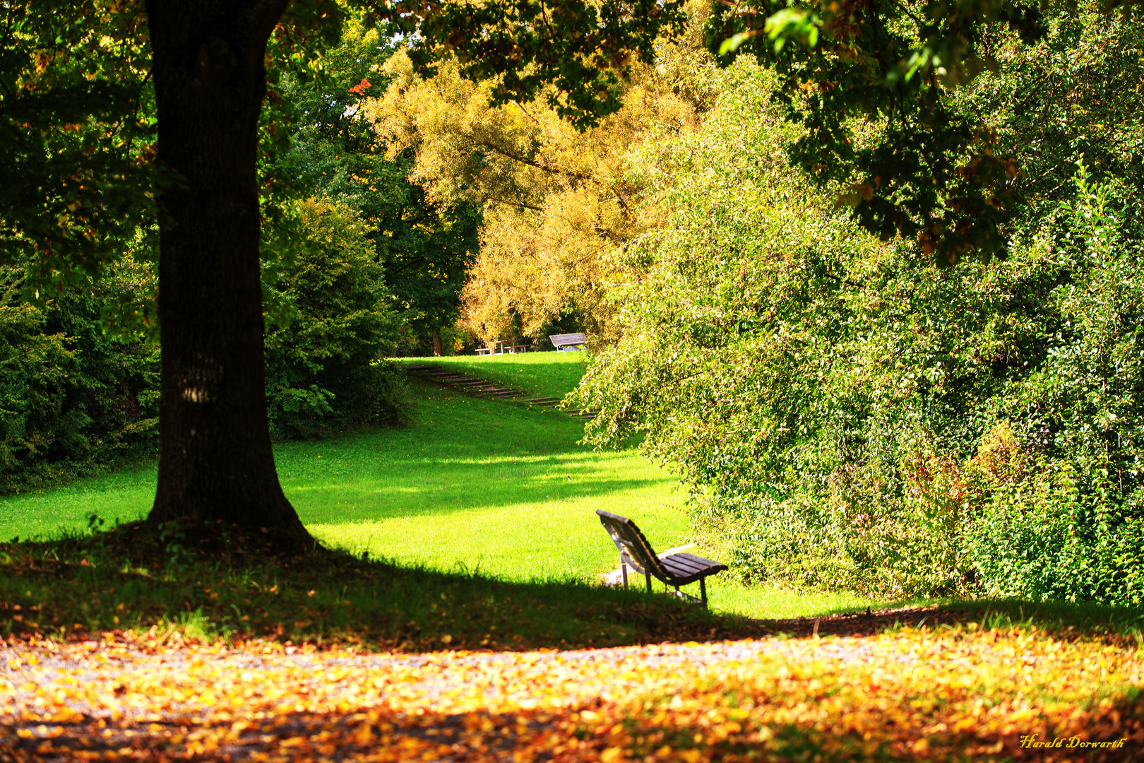 Schlosswiesensee-Park