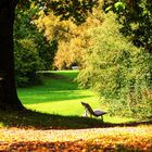 Schlosswiesensee-Park