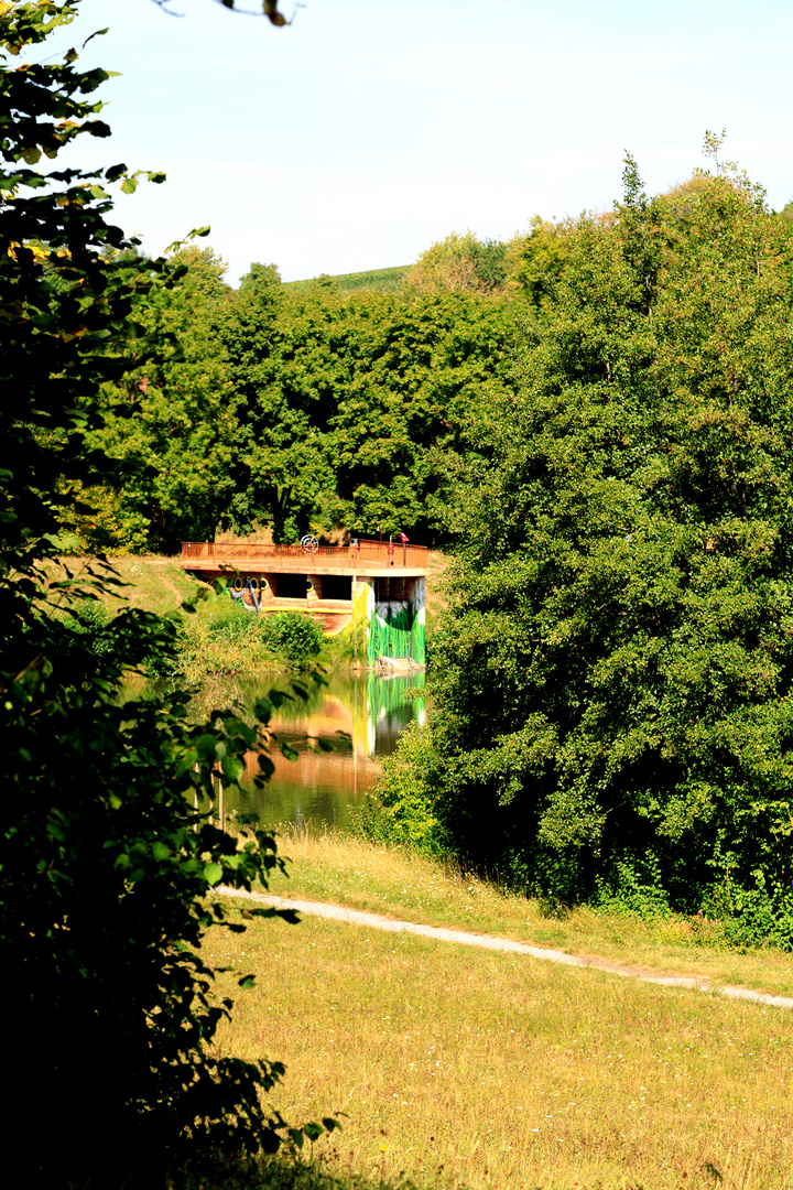 Schlosswiesensee-Rundwanderung