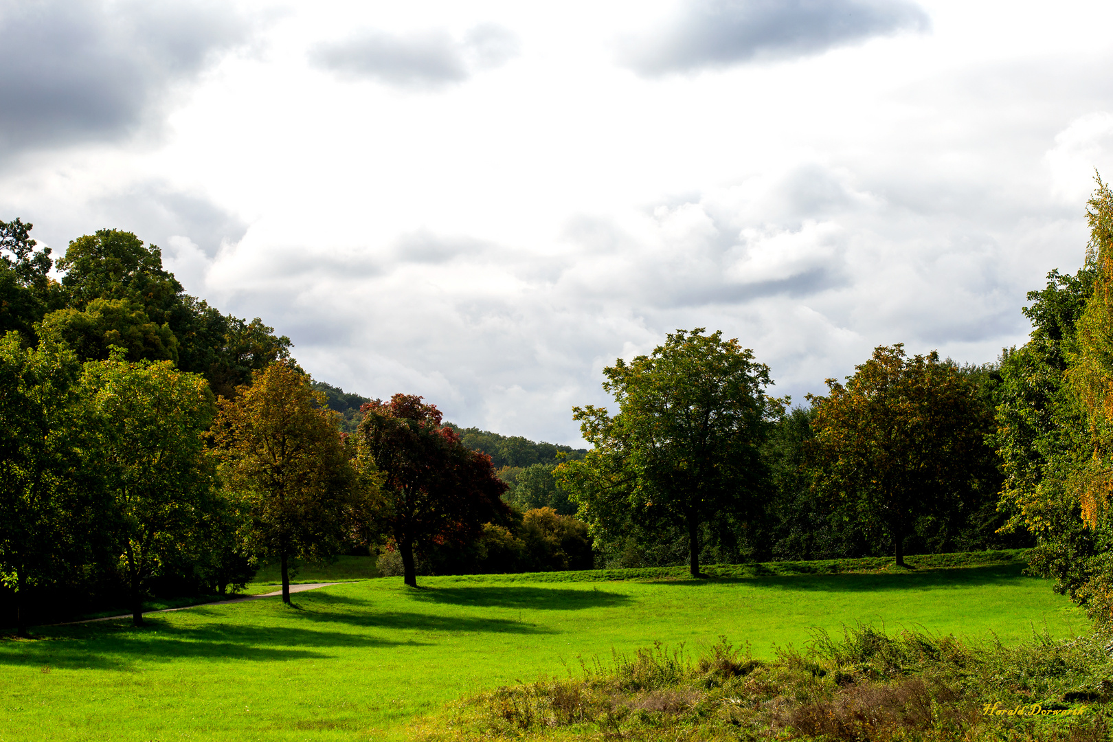 Schlosswiesensee-Rundweg