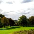 Schlosswiesensee-Rundweg