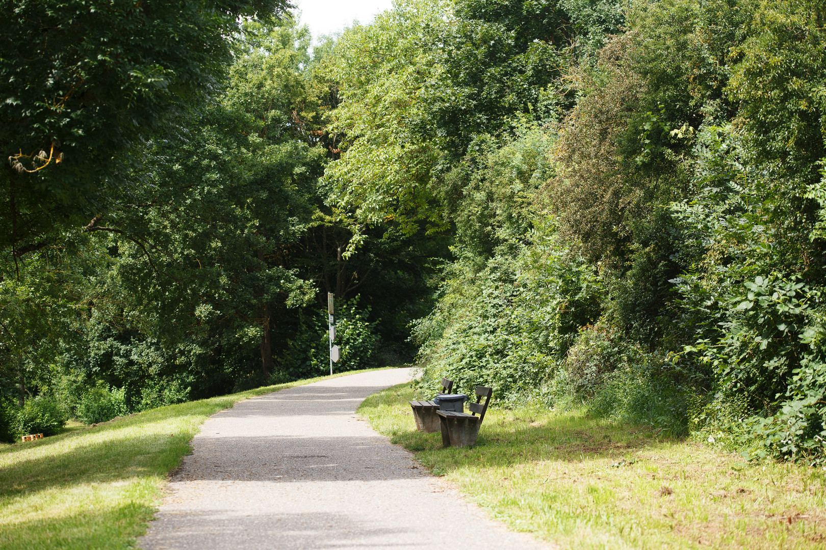 Schlosswiesensee-Rundweg