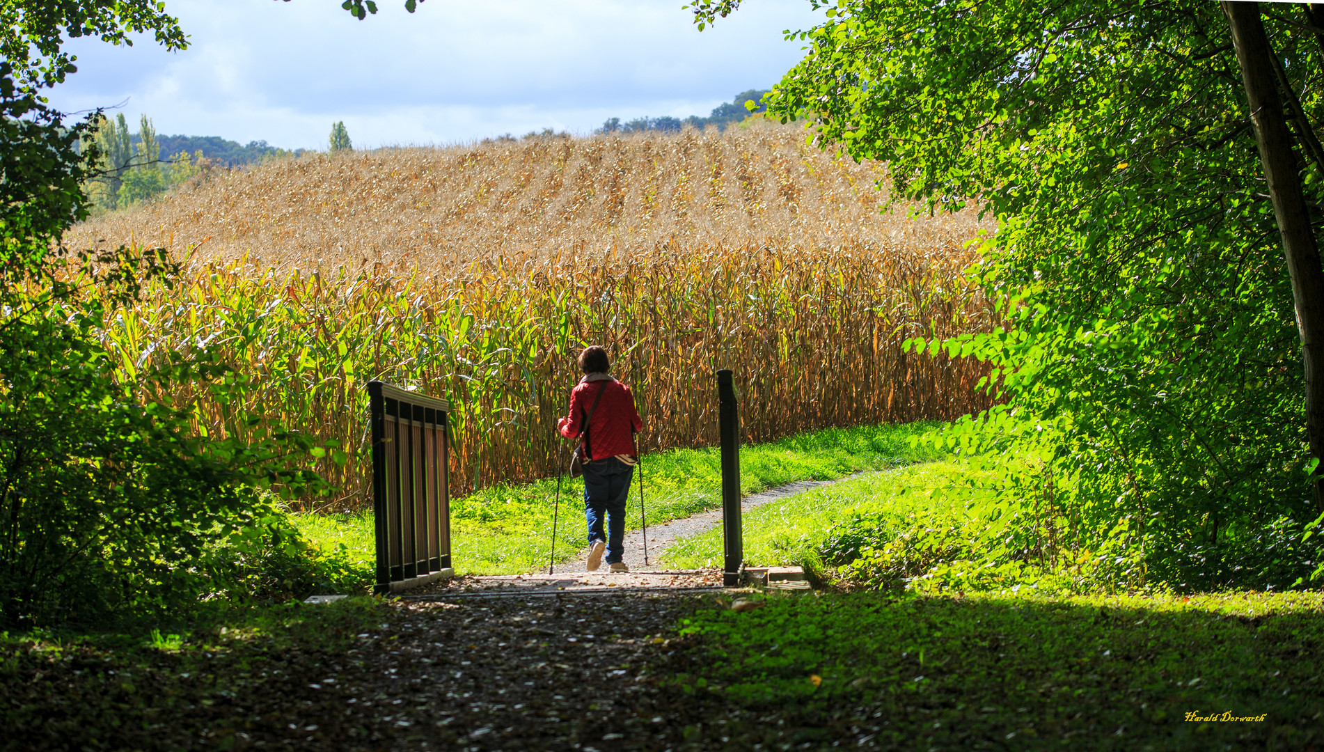 Schlosswiesensee-Rundweg