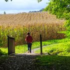 Schlosswiesensee-Rundweg