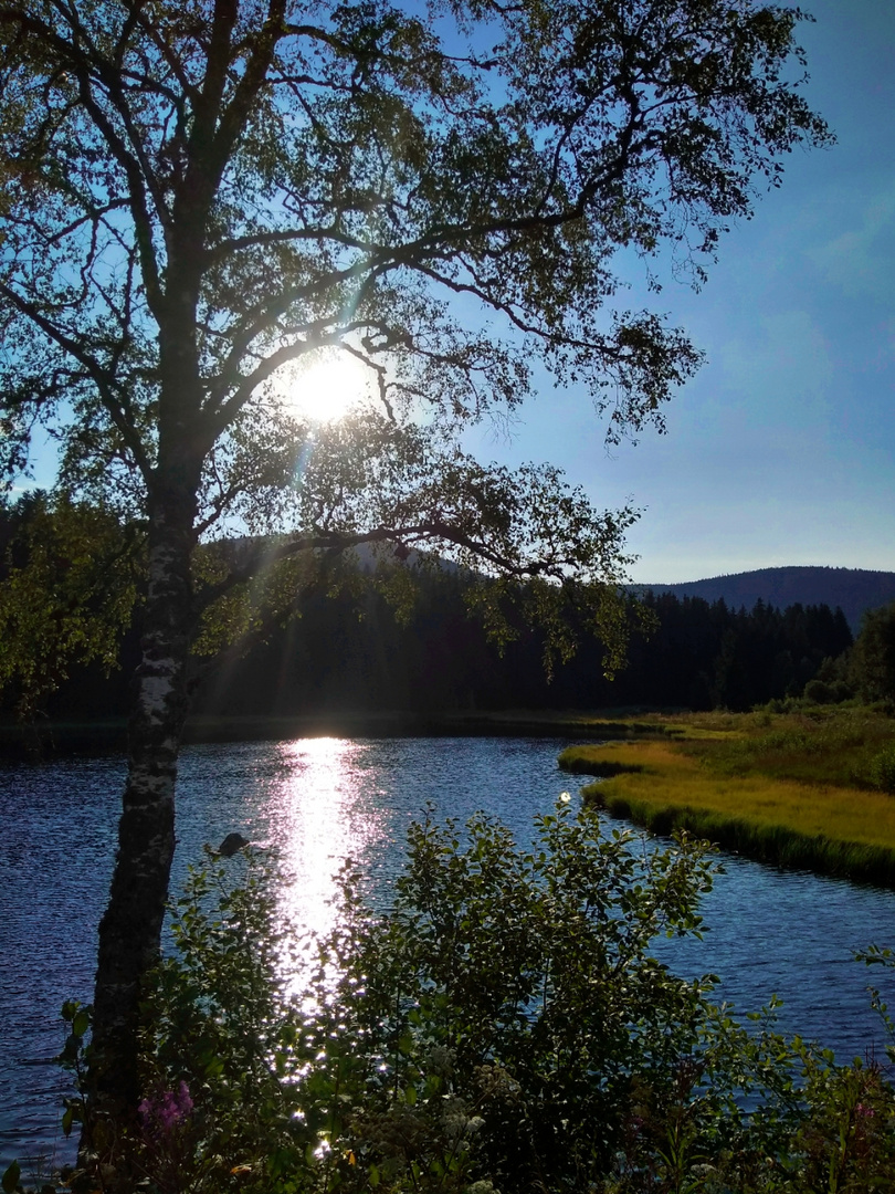 Schluchsee 1