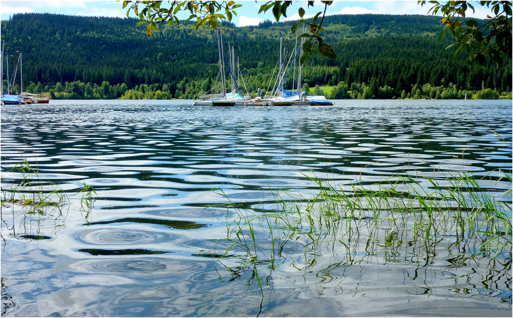 Schluchsee