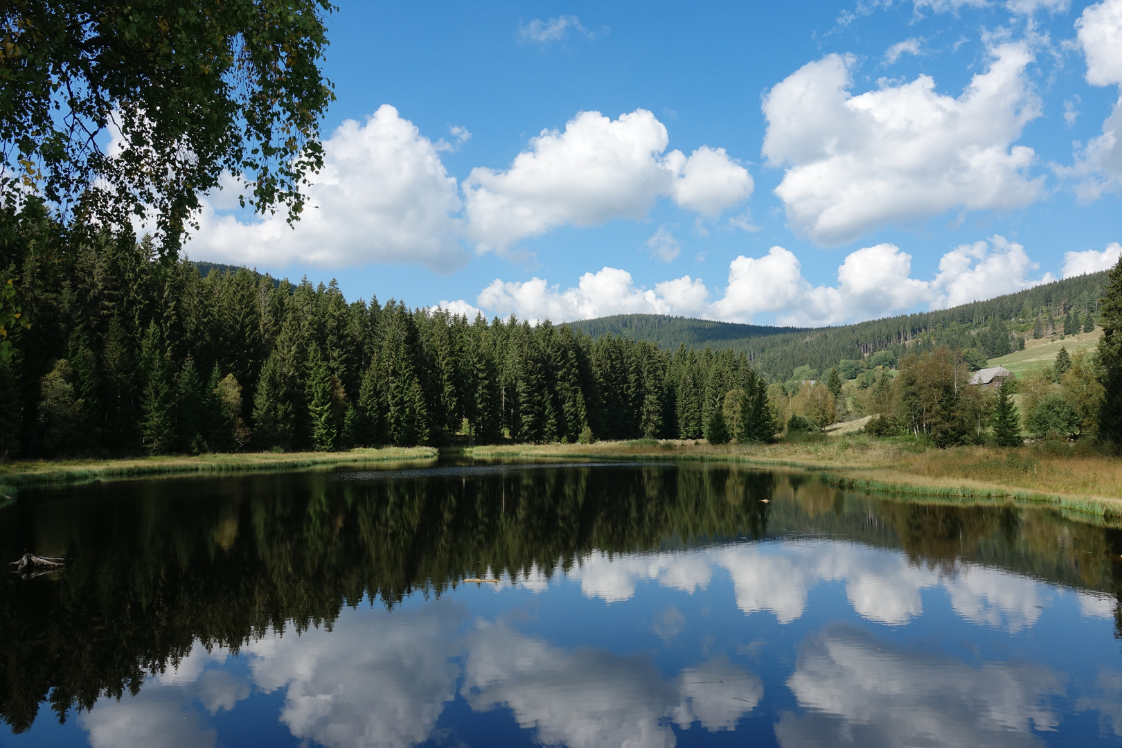 Schluchsee