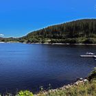 Schluchsee am Morgen