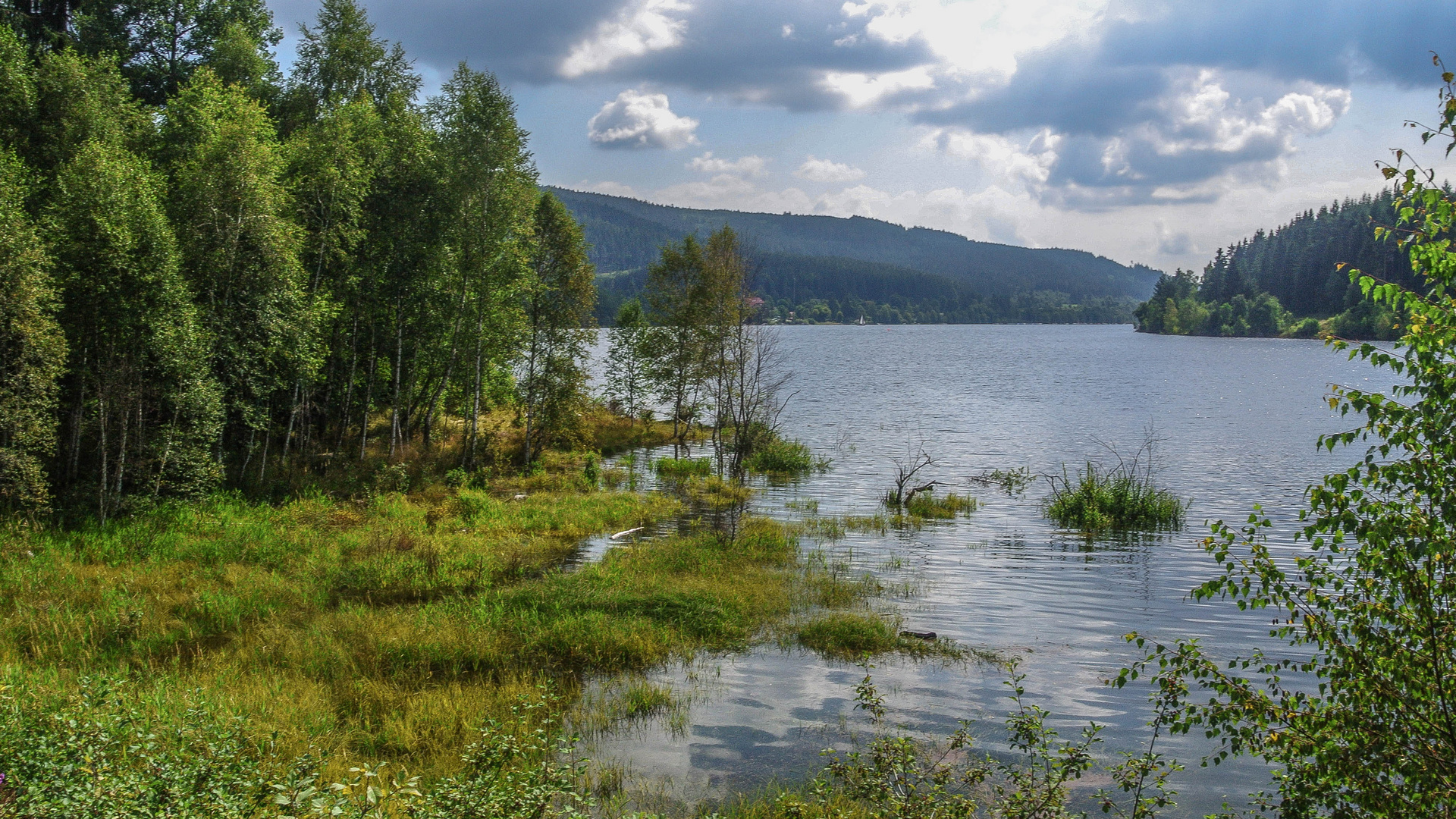 Schluchsee am Morgen