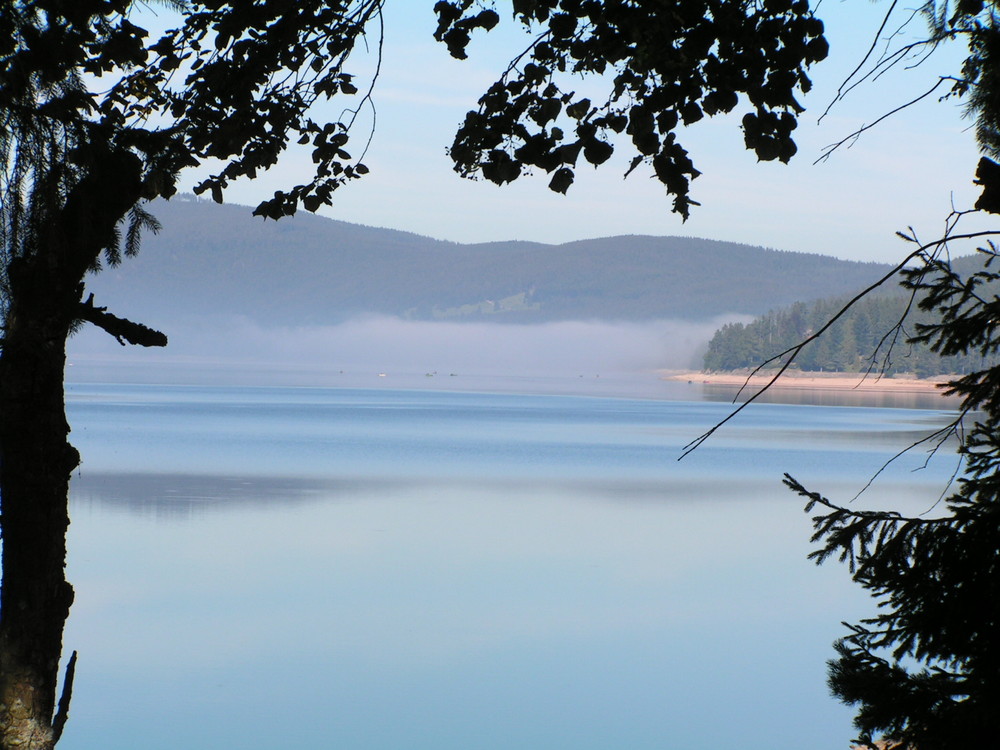 Schluchsee am Morgen