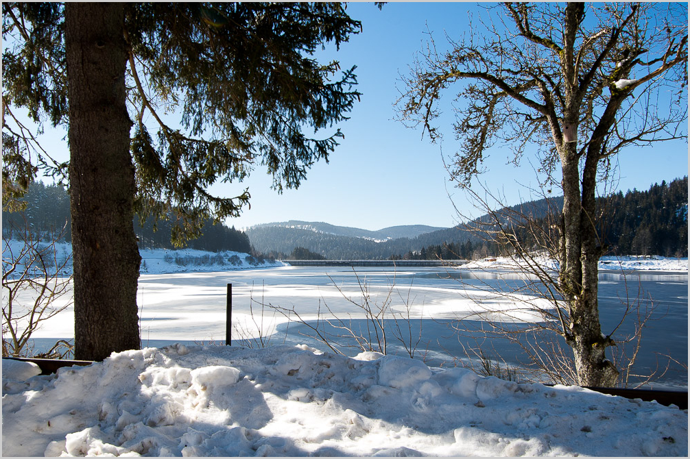 Schluchsee Iced