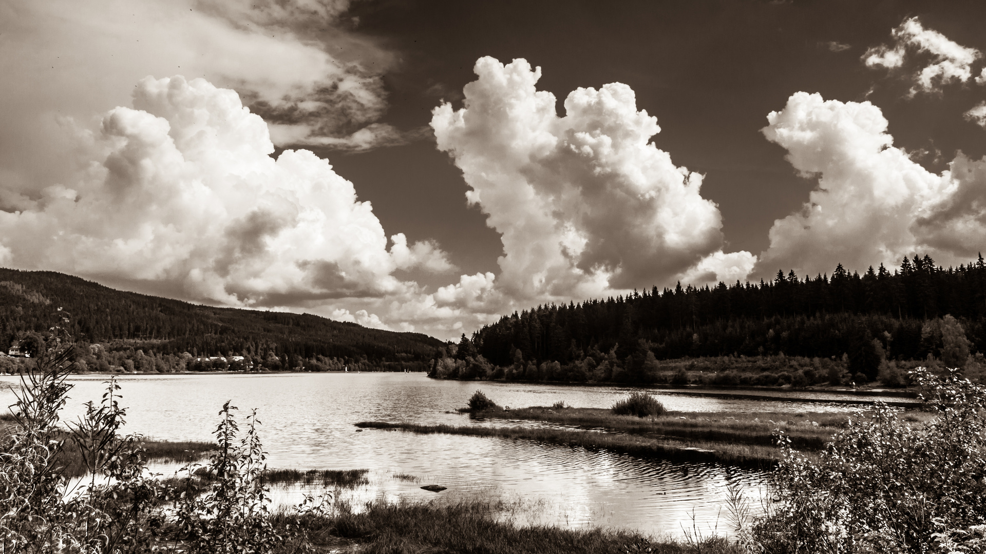 Schluchsee im Herbst