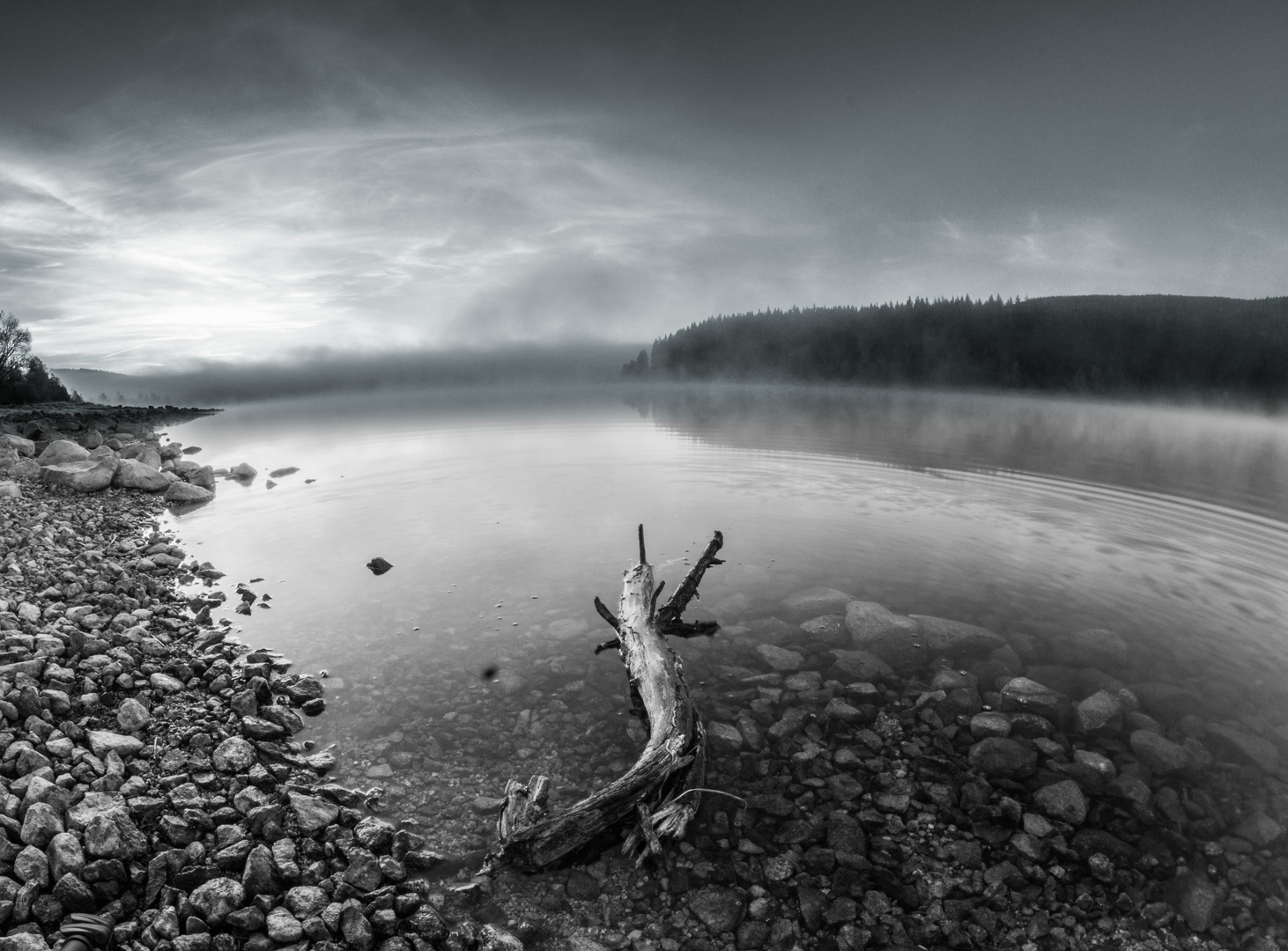 Schluchsee im Morgengrauen