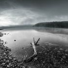 Schluchsee im Morgengrauen