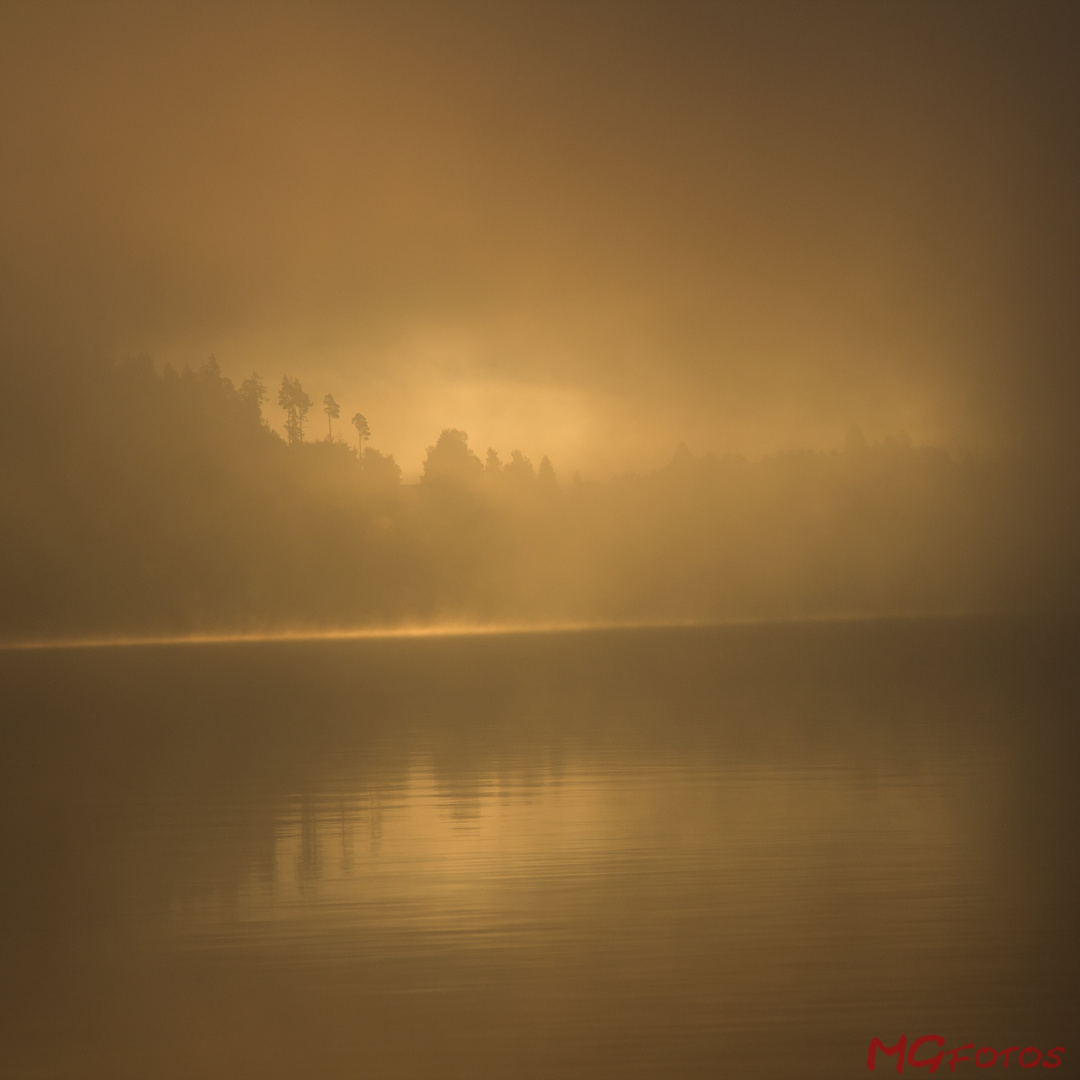 Schluchsee im Morgennebel