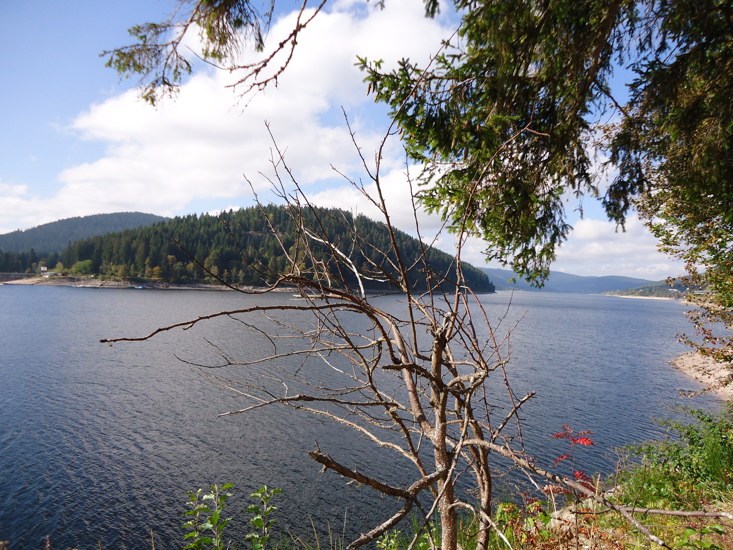 Schluchsee im Schwarzwald