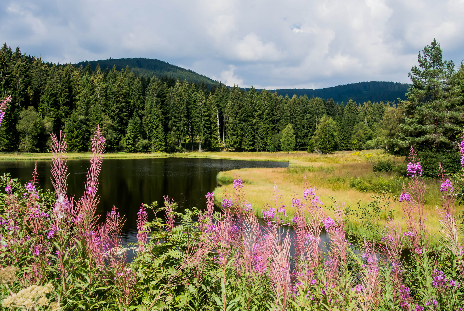 Schluchsee in den Morgenstunden