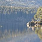 Schluchsee Schwarzwald 1